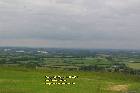 view from marlborough downs cotswold hills june juin 2009 copyright free photo royalty free photo