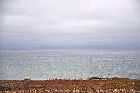 shoal cove east labrador coast viking trail newfoundland canada october octobre 2010