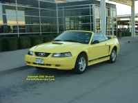 the yellow Ford Mustang
