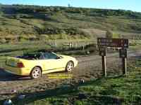 Mustang at the top of the Canjilon Mountains New Mexico
