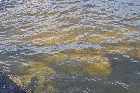 docks harbour iron ore deposits les escoumins st lawrence north shore quebec canada mai may 2012