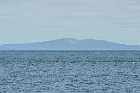 docks harbour les escoumins appalachians st lawrence north shore quebec canada mai may 2012