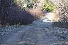 chemin au pierre forestville north shore st lawrence river quebec canada mai may 2012