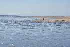 fishermen sea trout riviere pentecote gulf st lawrence river north shore quebec canada mai may 2012