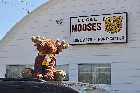 brotherhood of the moose port cartier gulf st lawrence river north shore quebec canada mai may 2012