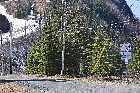 chemin du club de ski slopes gallix gulf st lawrence river north shore quebec canada mai may 2012