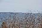 highway 138 belvedere havre st pierre gulf st lawrence north shore quebec canada mai may 2012