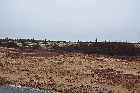 natural vegetation sand tundra natashquan highway 138 route jacques cartier gulf st lawrence north shore quebec canada mai may 2012