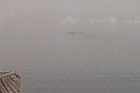 lower north shore gulf of st lawrence whale harrington harbour quebec canada  mai may 2012