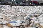 lower north shore gulf of st lawrence pack ice harrington harbour quebec canada  mai may 2012