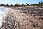 beach godbout st lawrence river north shore cote nord quebec canada september septembre 2016