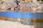 waterfall river franquelin quebec canada october octobre 2016