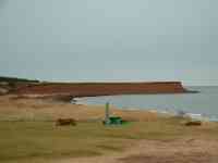 Campbell's Cove
