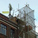 Tree on roof Clerkenwell Road London England January 2007 copyright free photo royalty free photo